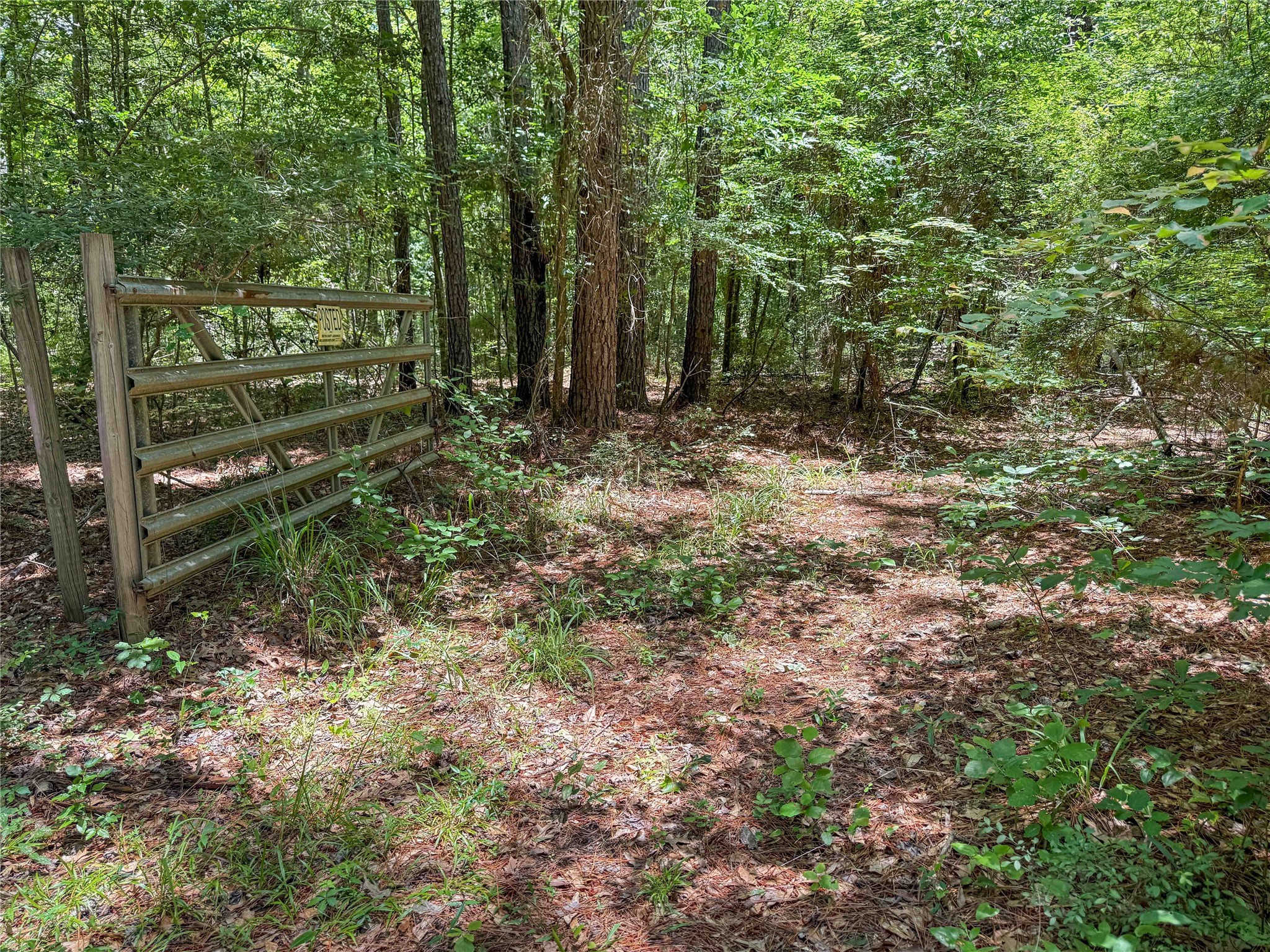 Tbd Hickman Road Burkeville, TX 75932 - Photo 41 of 46