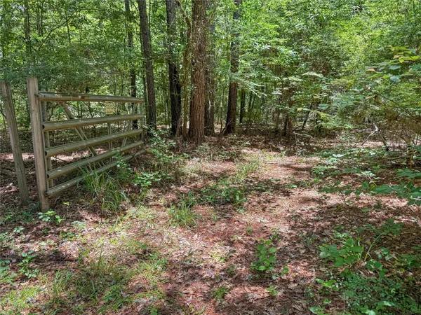 a view of outdoor space and green space
