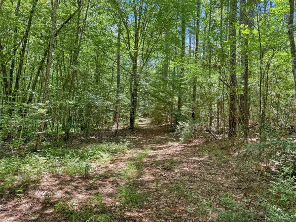 a view of outdoor space and trees