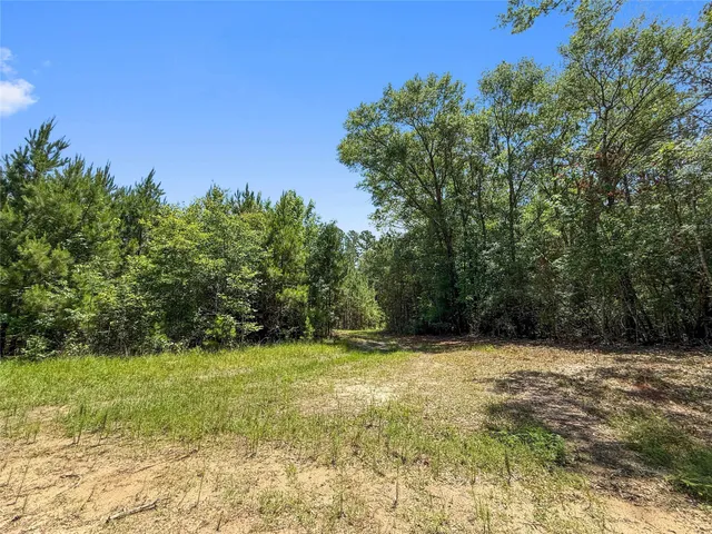 $99,500 | Tbd Hickman Road, Burkeville, TX 75932