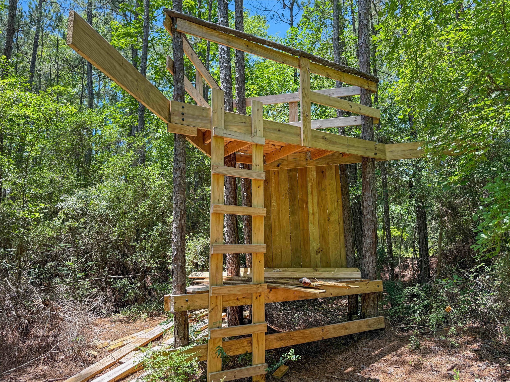 Tbd Hickman Road Burkeville, TX 75932 - Photo 9 of 46