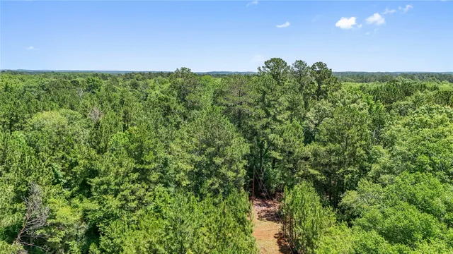 $99,500 | Tbd Hickman Road, Burkeville, TX 75932