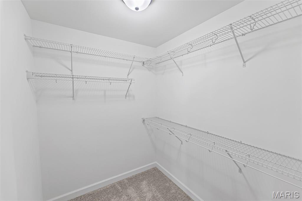 1009 Waymaker Lane Waterloo, IL 62298 - Photo 9 of 27