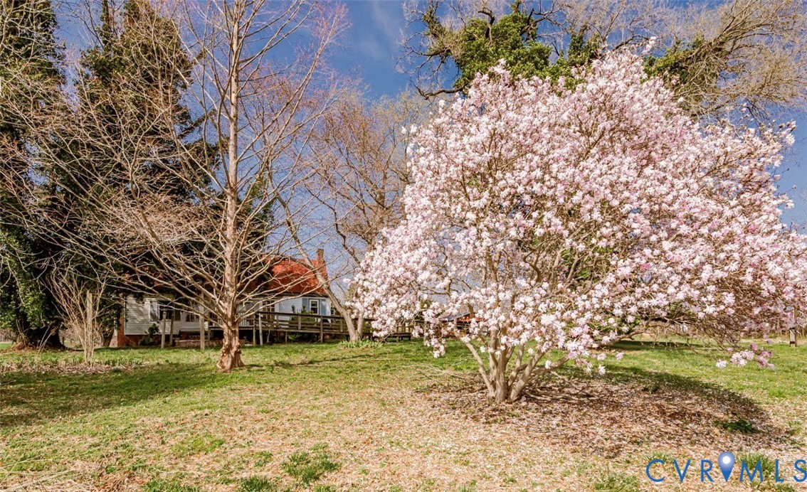 2326 Johnville Road Dunnsville, VA 22454 - Photo 13 of 13 View of green lawn
