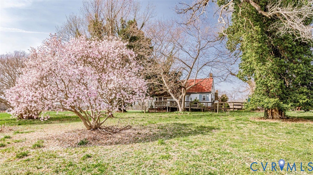 2326 Johnville Road Dunnsville, VA 22454 - Photo 3 of 13 View of grassy yard