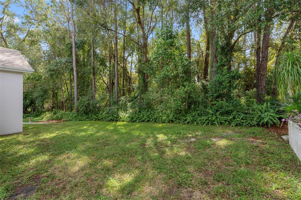3529 South Belgrave Drive Inverness, FL 34452 - Photo 20 of 35 a view of a lush green space