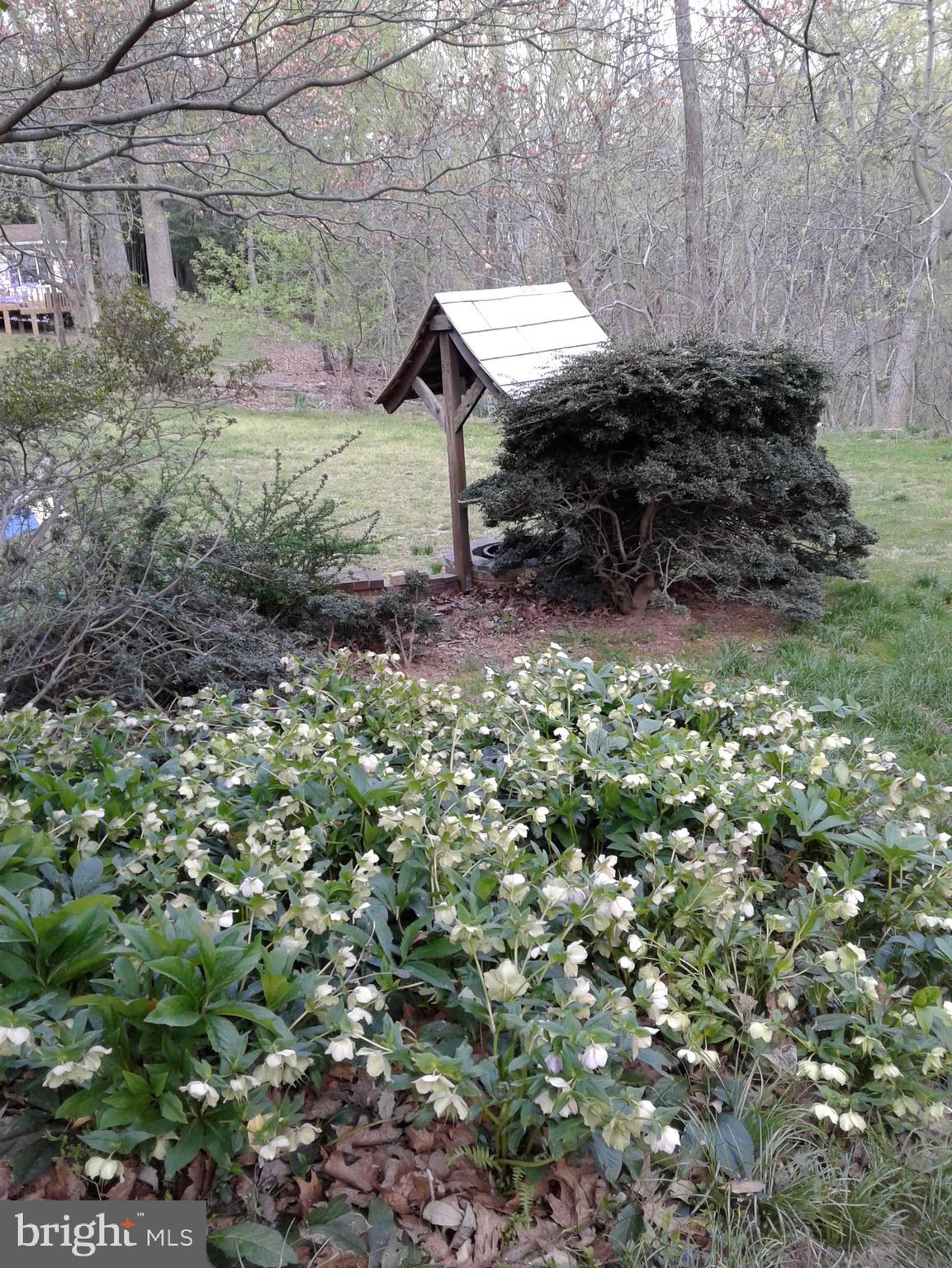 301 Pine Road Fort Washington, MD 20744 - Photo 51 of 55 Gallery Image 51
