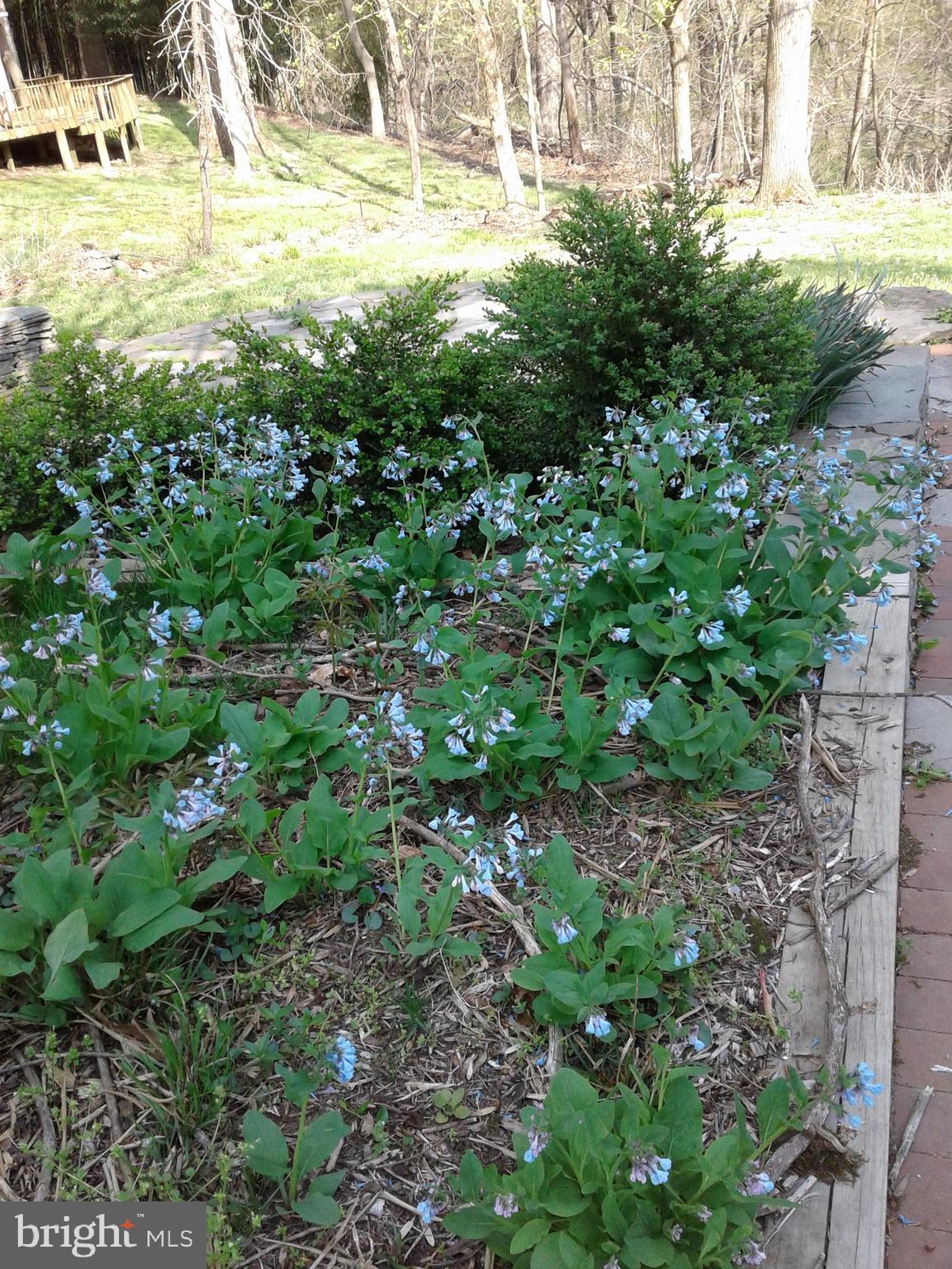 301 Pine Road Fort Washington, MD 20744 - Photo 52 of 55 Gallery Image 52