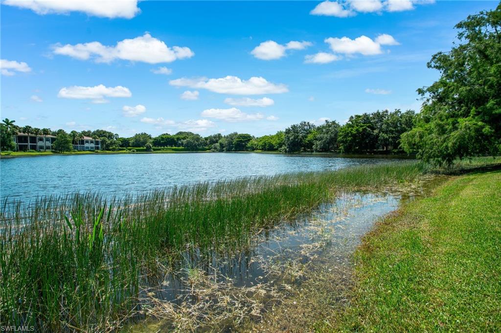 15547 Monterosso Lane, Unit 201 Naples, FL 34110 - Photo 30 of 50 a view of a lake from a yard