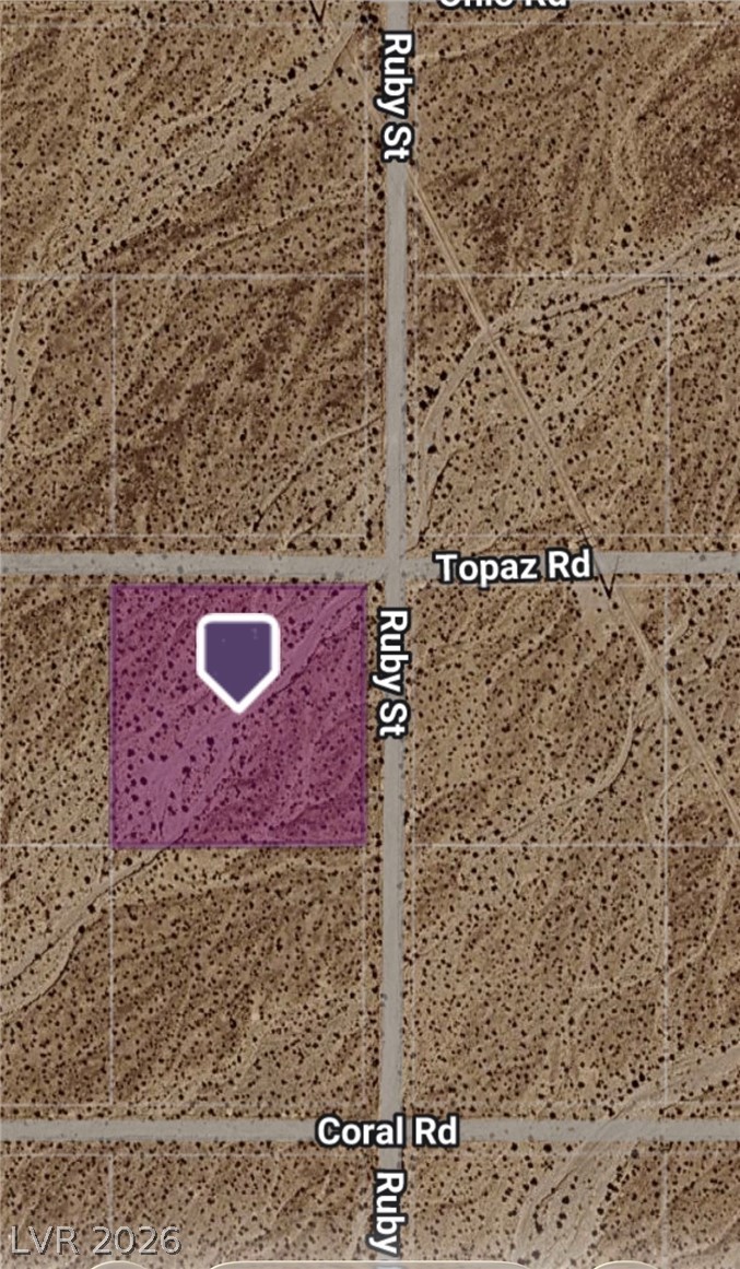 1781 Topaz Road Pahrump, NV 89060 - Photo 3 of 4