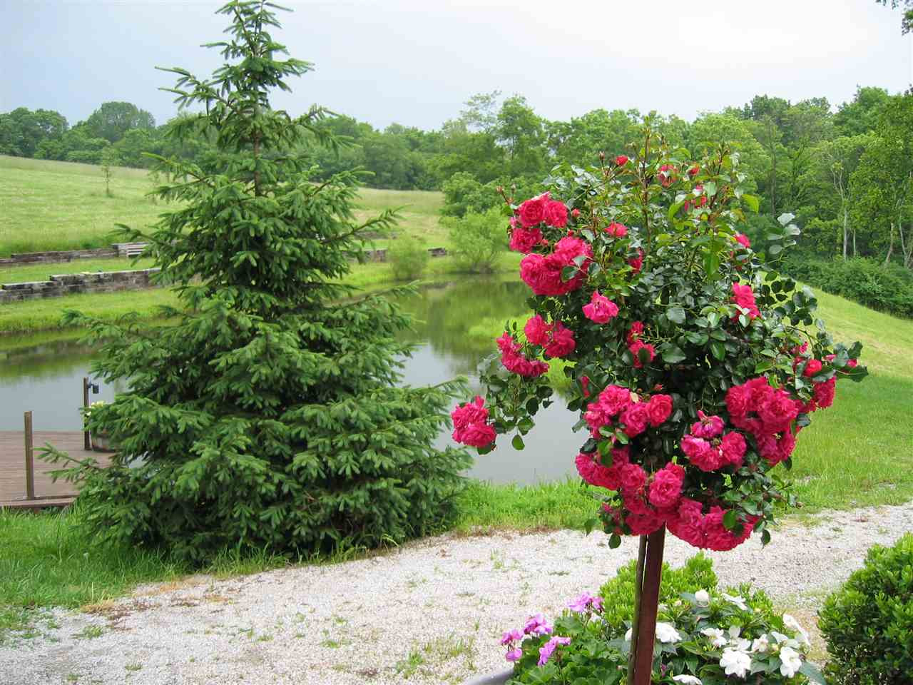 8838 Locust Grove Road Burlington, KY 41005 - Photo 33 of 48 Gallery Image 33