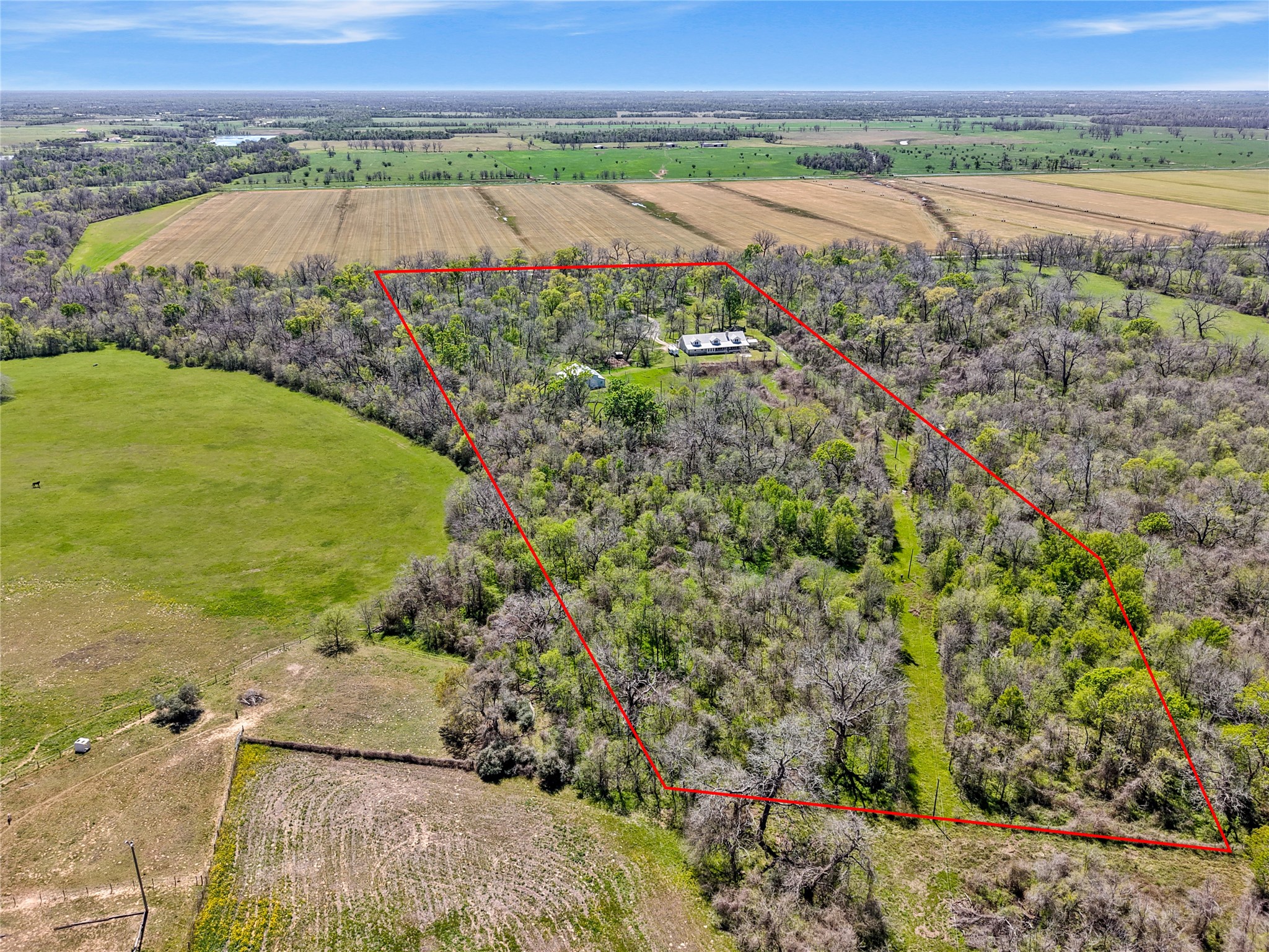 41712 Harpers Church Road Hempstead, TX 77445 - Photo 6 of 50 back of property