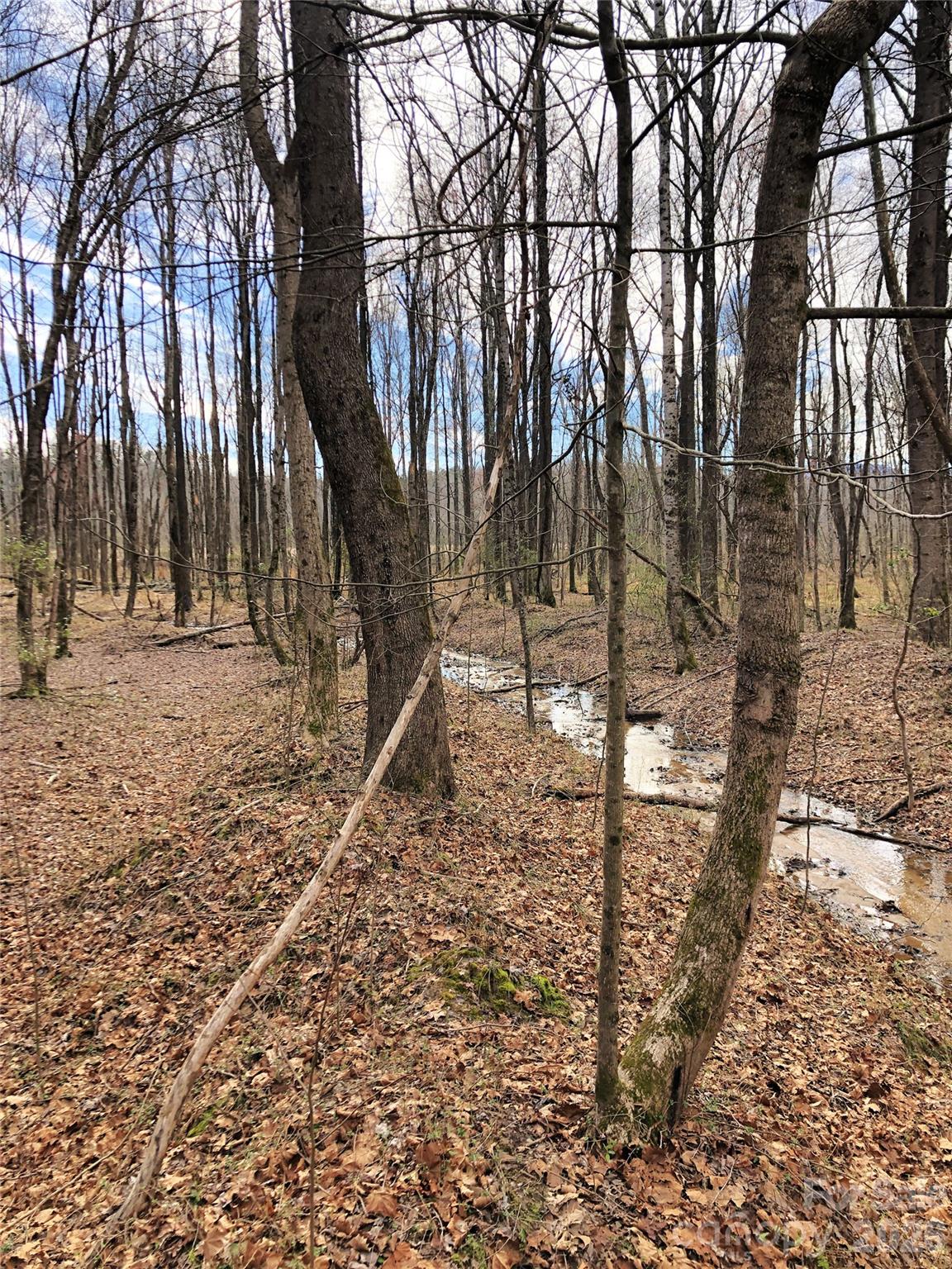 0 River Road Tryon, NC 28782 - Photo 25 of 30