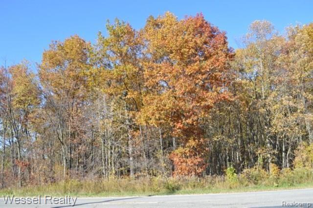 0 Smiths Creek Road Goodells, MI 48027 - Photo 2 of 9