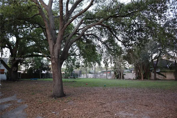 a view of a yard with trees