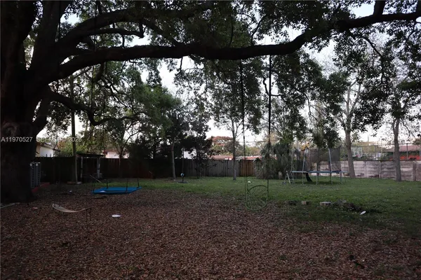 a view of a tree in a yard