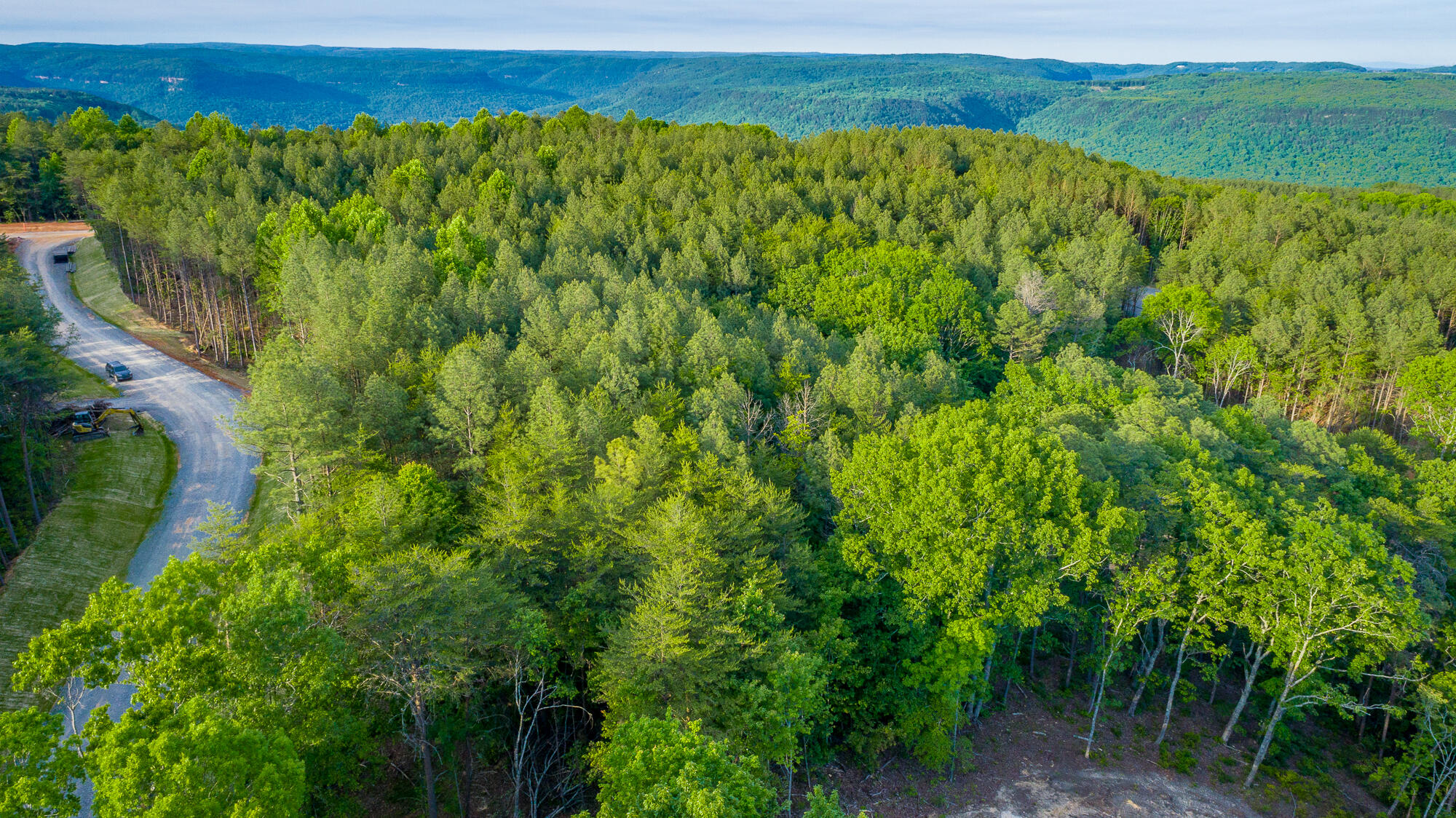 0 Cannon Way, Unit LOT 1317 Guild, TN 37340 - Photo 27 of 99 0 Cannon Way - Lot 1317 HD-11