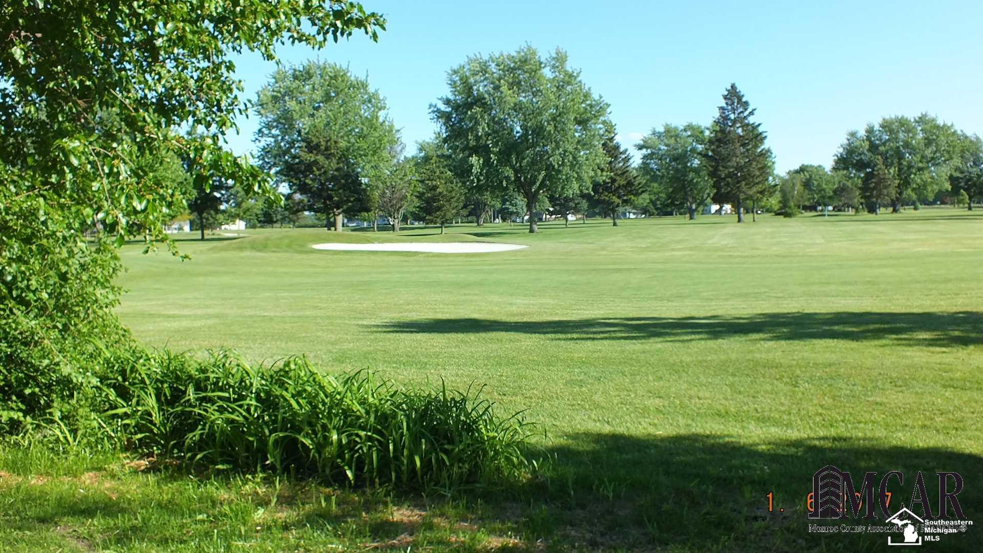 13751 South Custer Road Dundee, MI 48131 - Photo 5 of 26 Golf course behind home