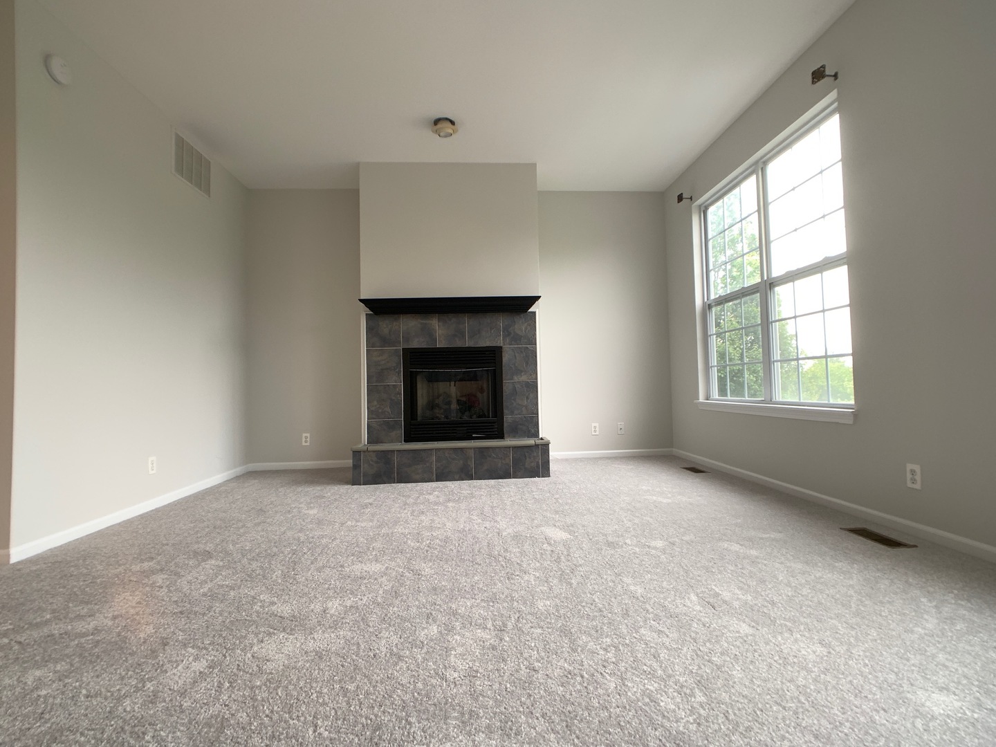 632 Declaration Lane Aurora, IL 60502 - Photo 4 of 12