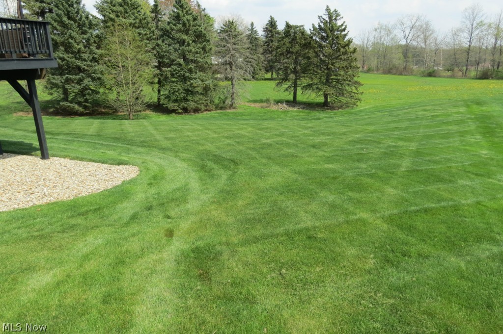 2226 Timber Ridge Trail Streetsboro, OH 44241 - Photo 24 of 25