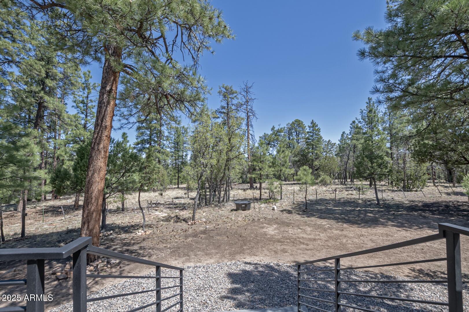 2965 Eagle Ridge Circle Happy Jack, AZ 86024 - Photo 41 of 54 a view of a yard with plants and trees