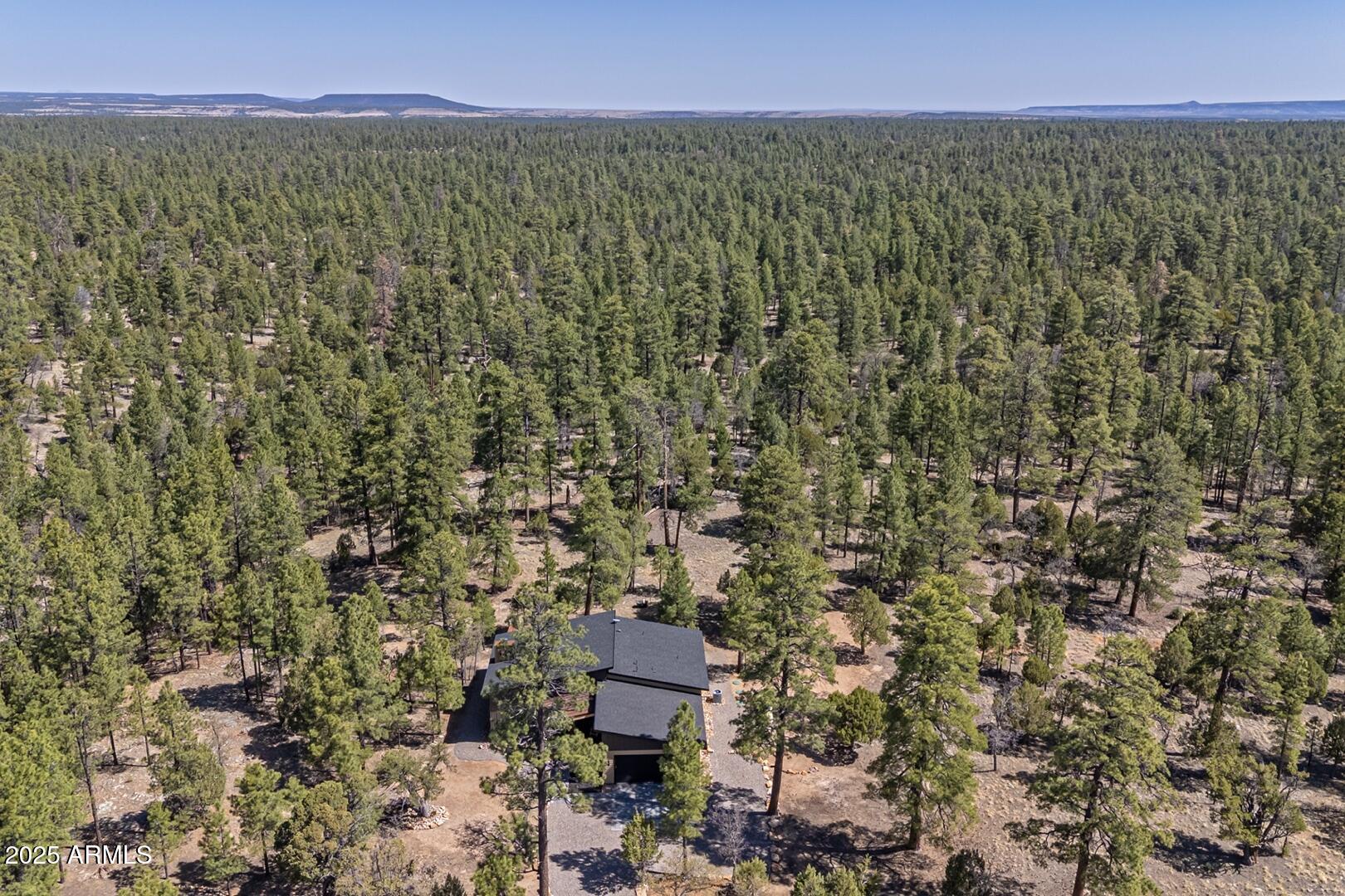 2965 Eagle Ridge Circle Happy Jack, AZ 86024 - Photo 46 of 54 a view of a city with lush green forest