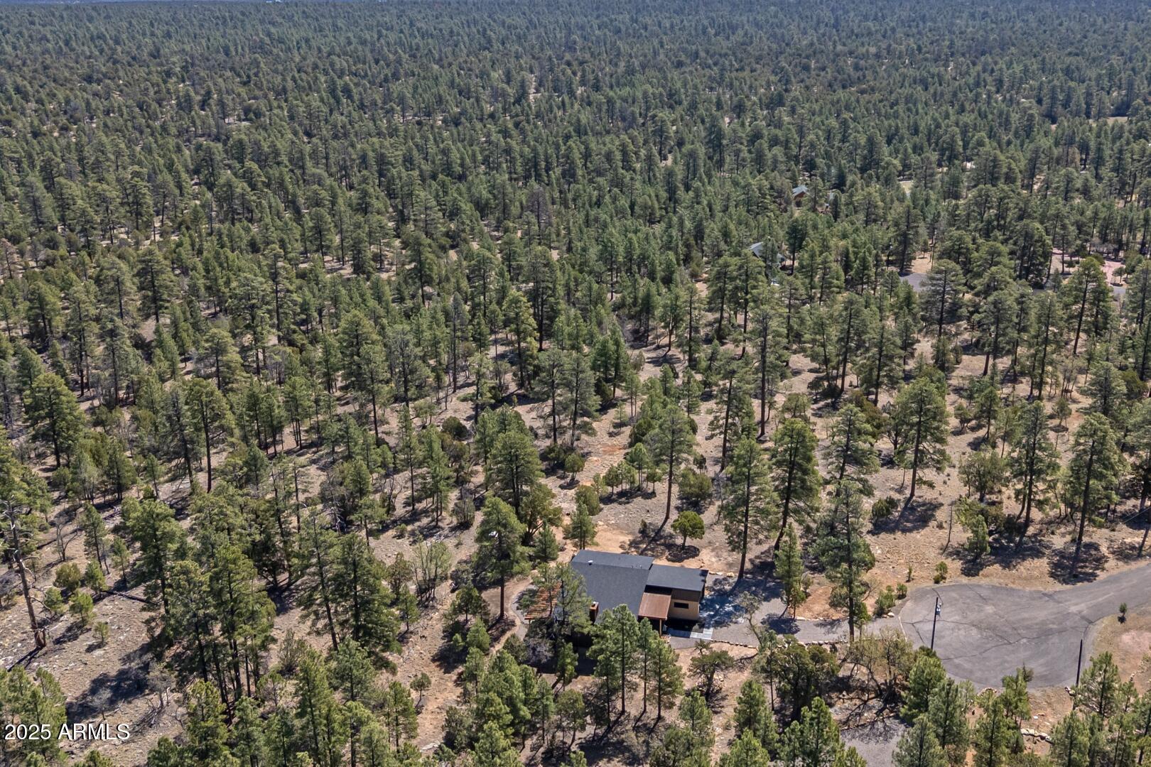 2965 Eagle Ridge Circle Happy Jack, AZ 86024 - Photo 47 of 54 a view of a city with lush green forest