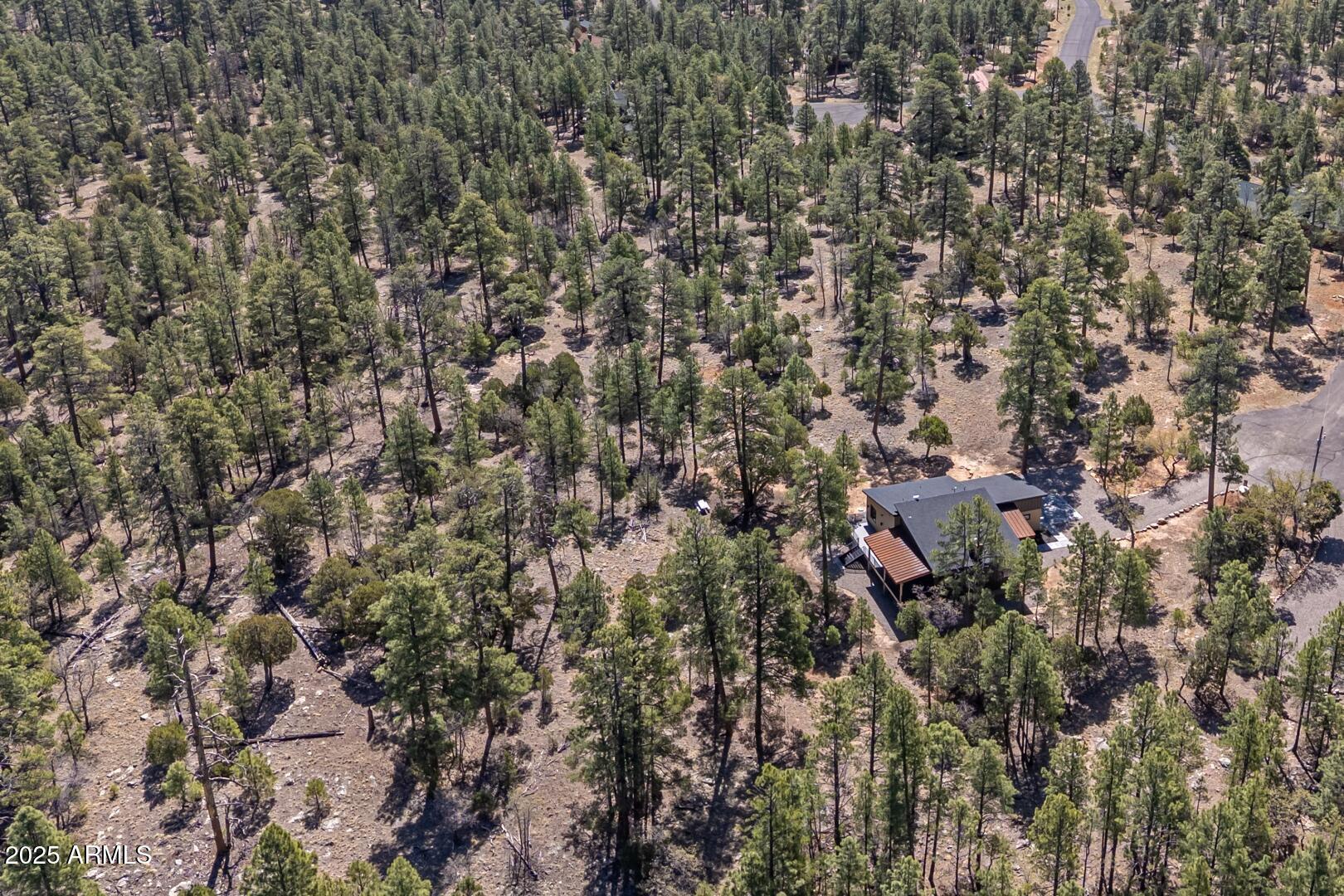 2965 Eagle Ridge Circle Happy Jack, AZ 86024 - Photo 48 of 54 IMG_ 46