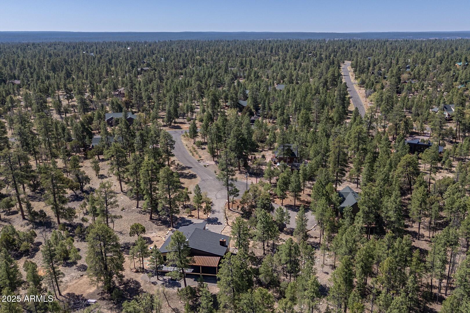 2965 Eagle Ridge Circle Happy Jack, AZ 86024 - Photo 50 of 54 an aerial view of residential house with outdoor space and trees all around