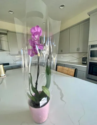 $6,800 | 15956 Orchard Drive, Westlake, FL 33470