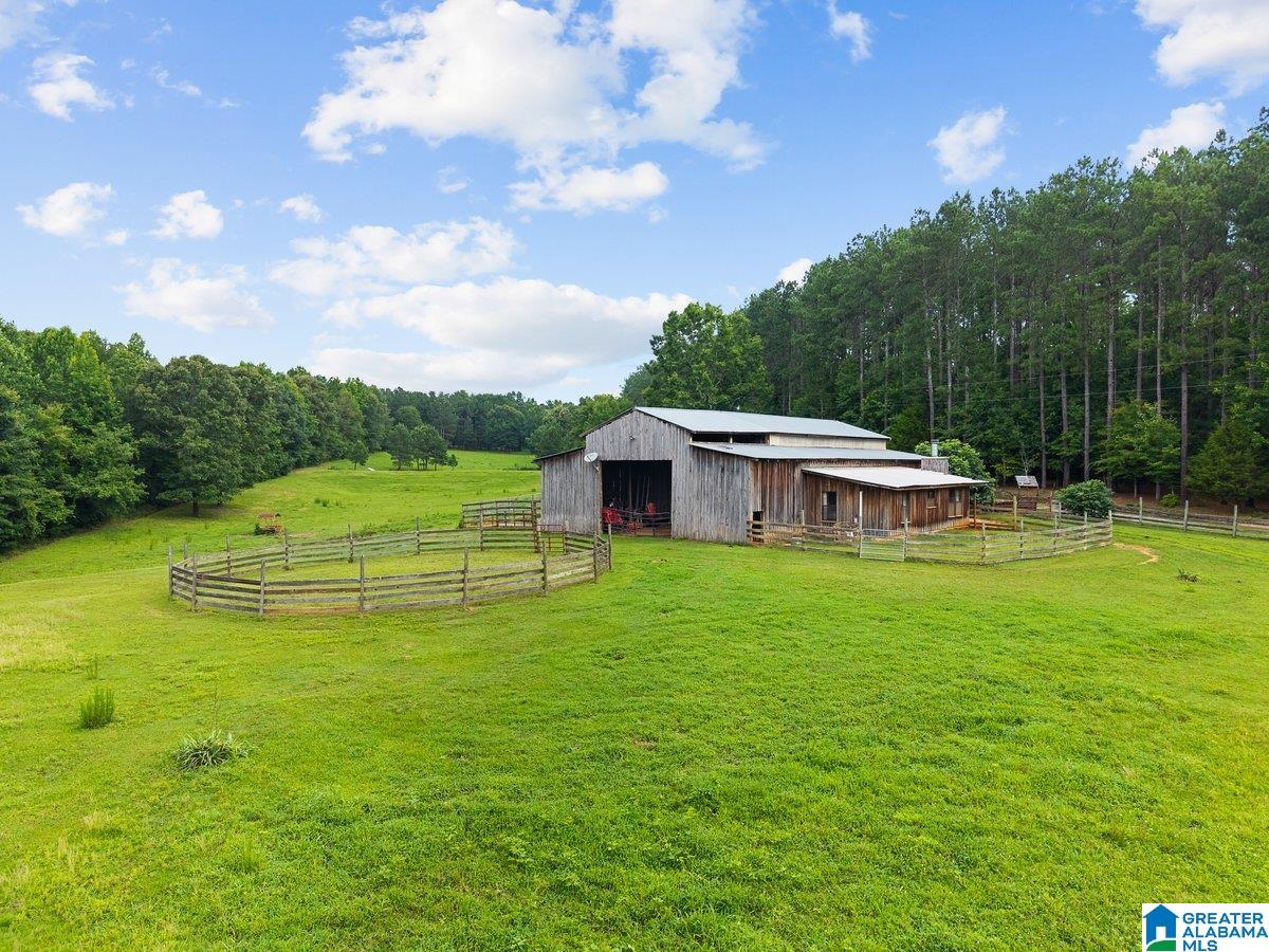 2040 Bud Mountain Road Blountsville, AL 35031 - Photo 17 of 47