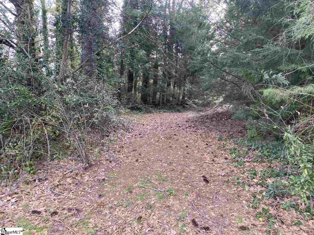 0 Loftis Road, Unit TRACT A Travelers Rest, SC 29690 - Photo 1 of 18