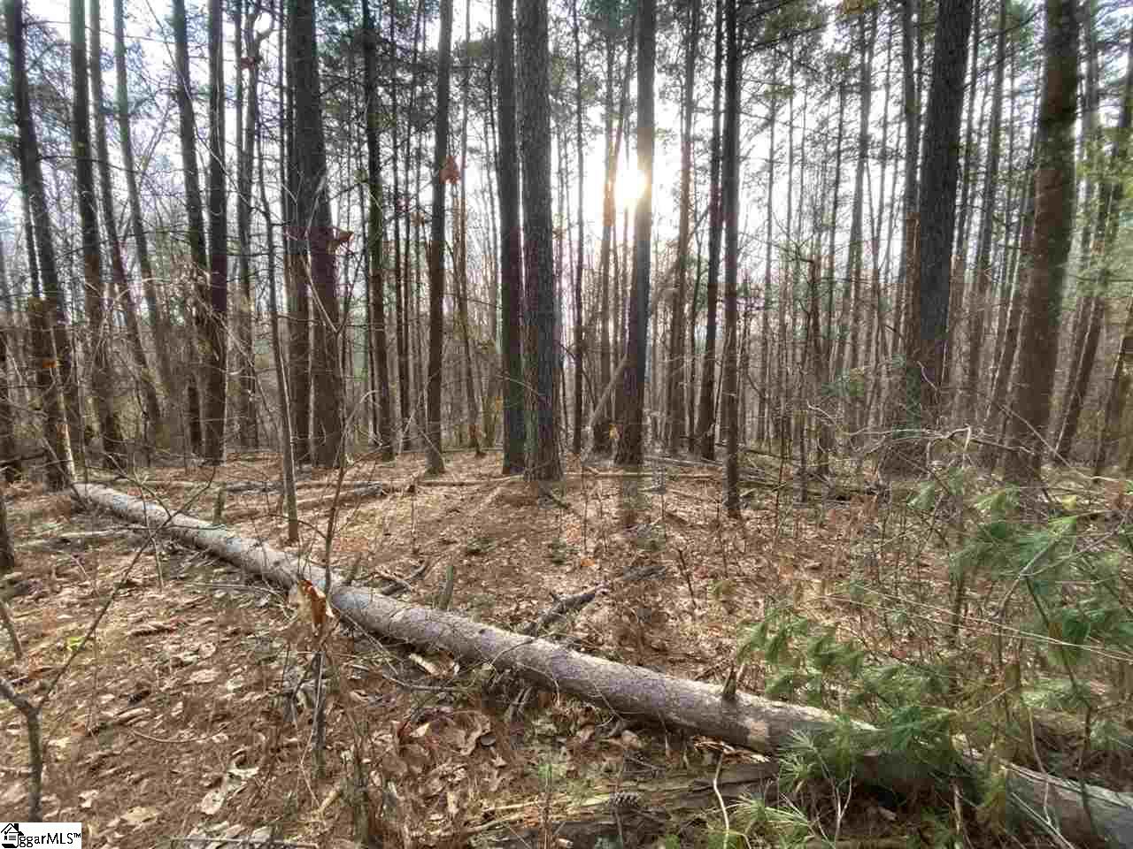 0 Loftis Road, Unit TRACT A Travelers Rest, SC 29690 - Photo 11 of 18
