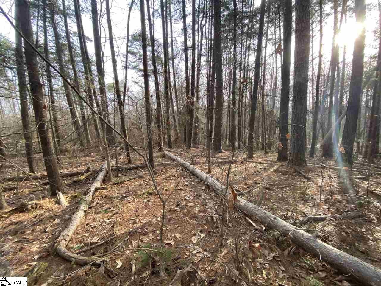 0 Loftis Road, Unit TRACT A Travelers Rest, SC 29690 - Photo 12 of 18