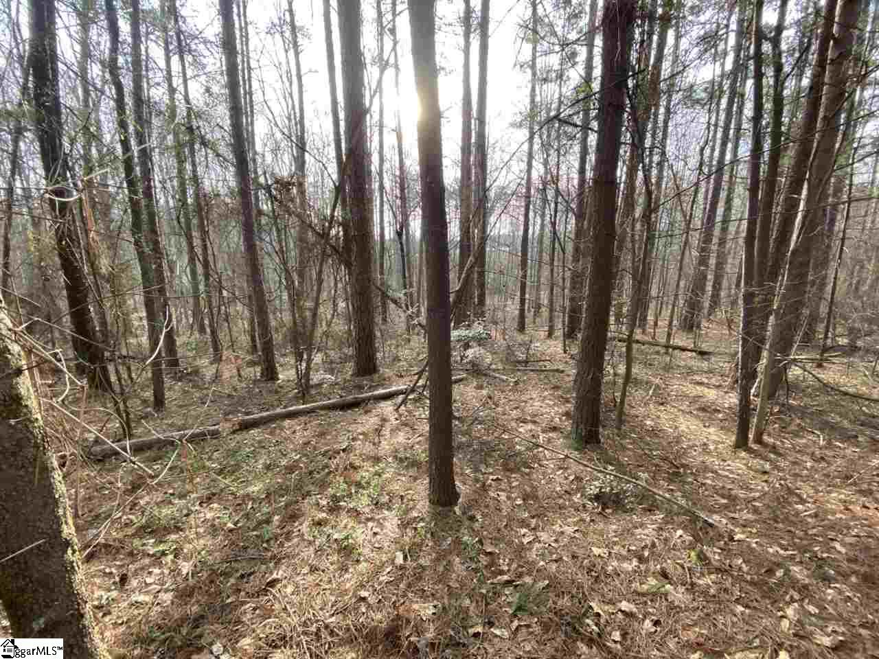 0 Loftis Road, Unit TRACT A Travelers Rest, SC 29690 - Photo 13 of 18