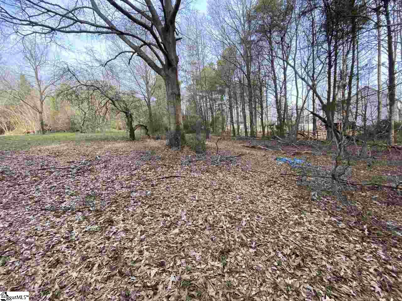 0 Loftis Road, Unit TRACT A Travelers Rest, SC 29690 - Photo 15 of 18