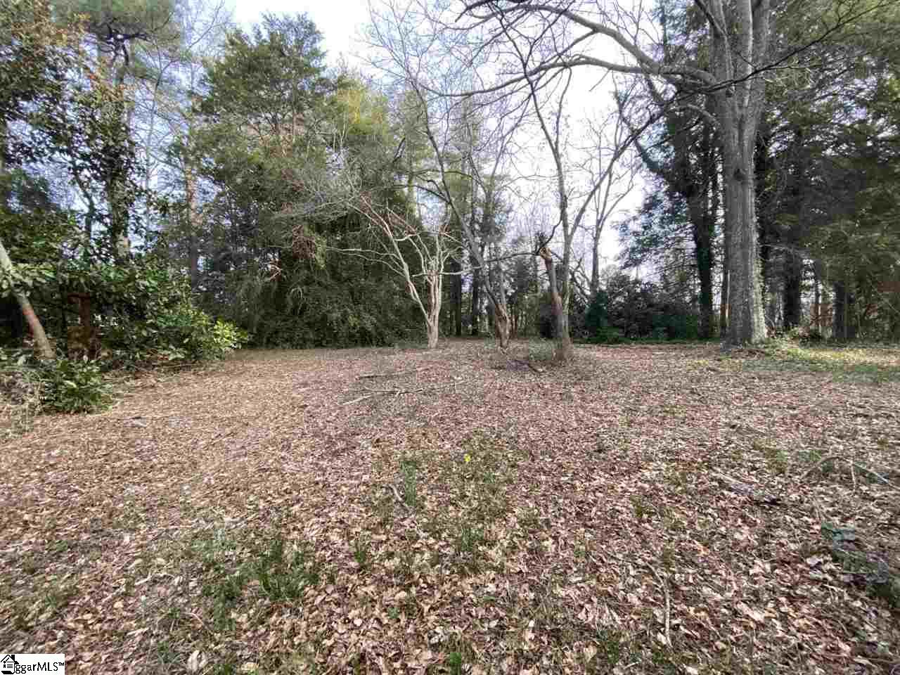0 Loftis Road, Unit TRACT A Travelers Rest, SC 29690 - Photo 16 of 18