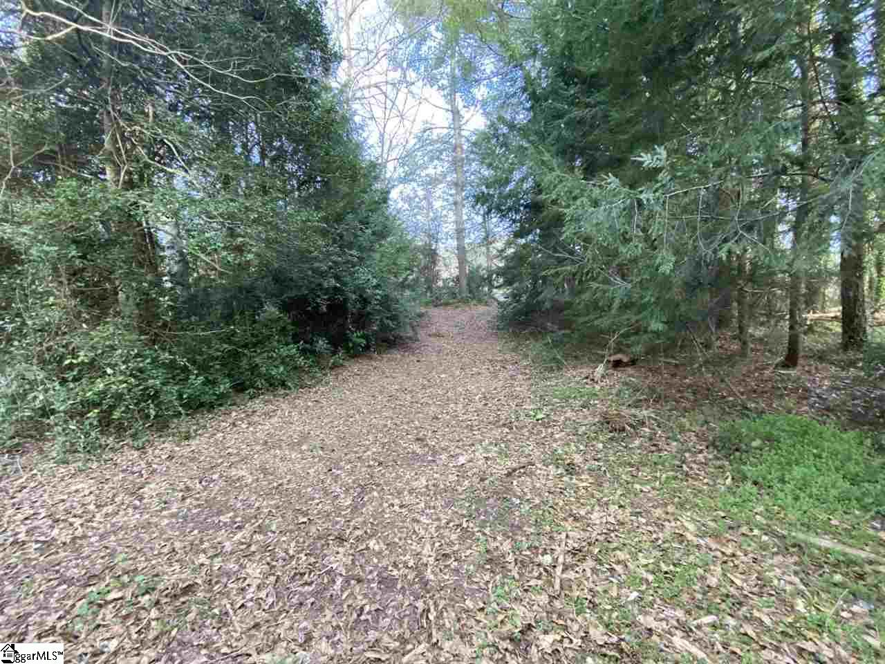 0 Loftis Road, Unit TRACT A Travelers Rest, SC 29690 - Photo 17 of 18