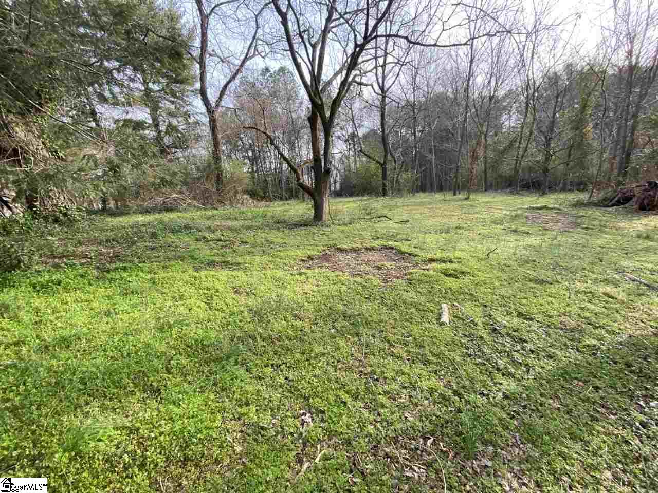 0 Loftis Road, Unit TRACT A Travelers Rest, SC 29690 - Photo 3 of 18