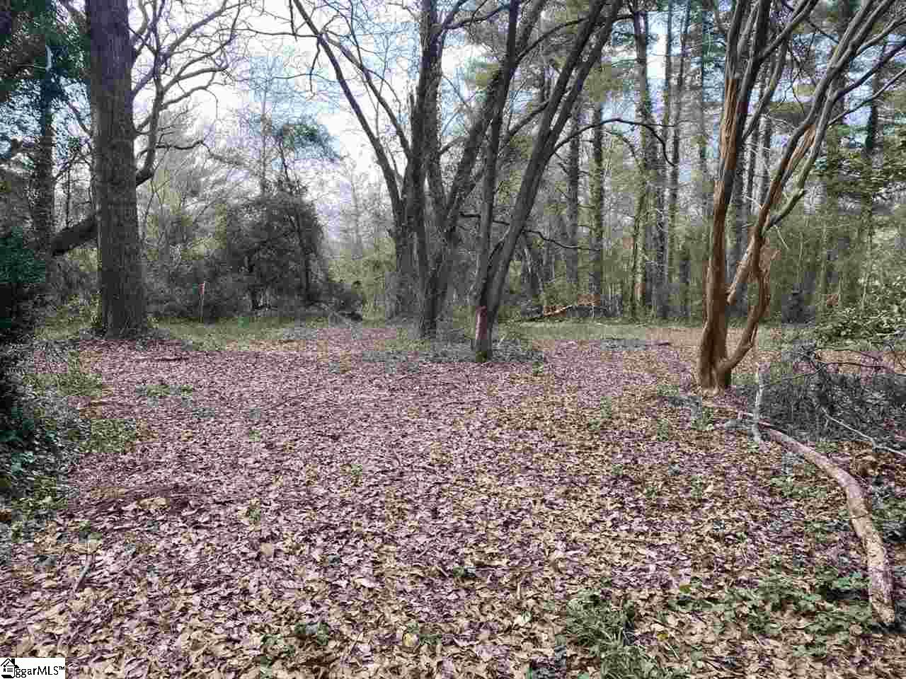 0 Loftis Road, Unit TRACT A Travelers Rest, SC 29690 - Photo 7 of 18