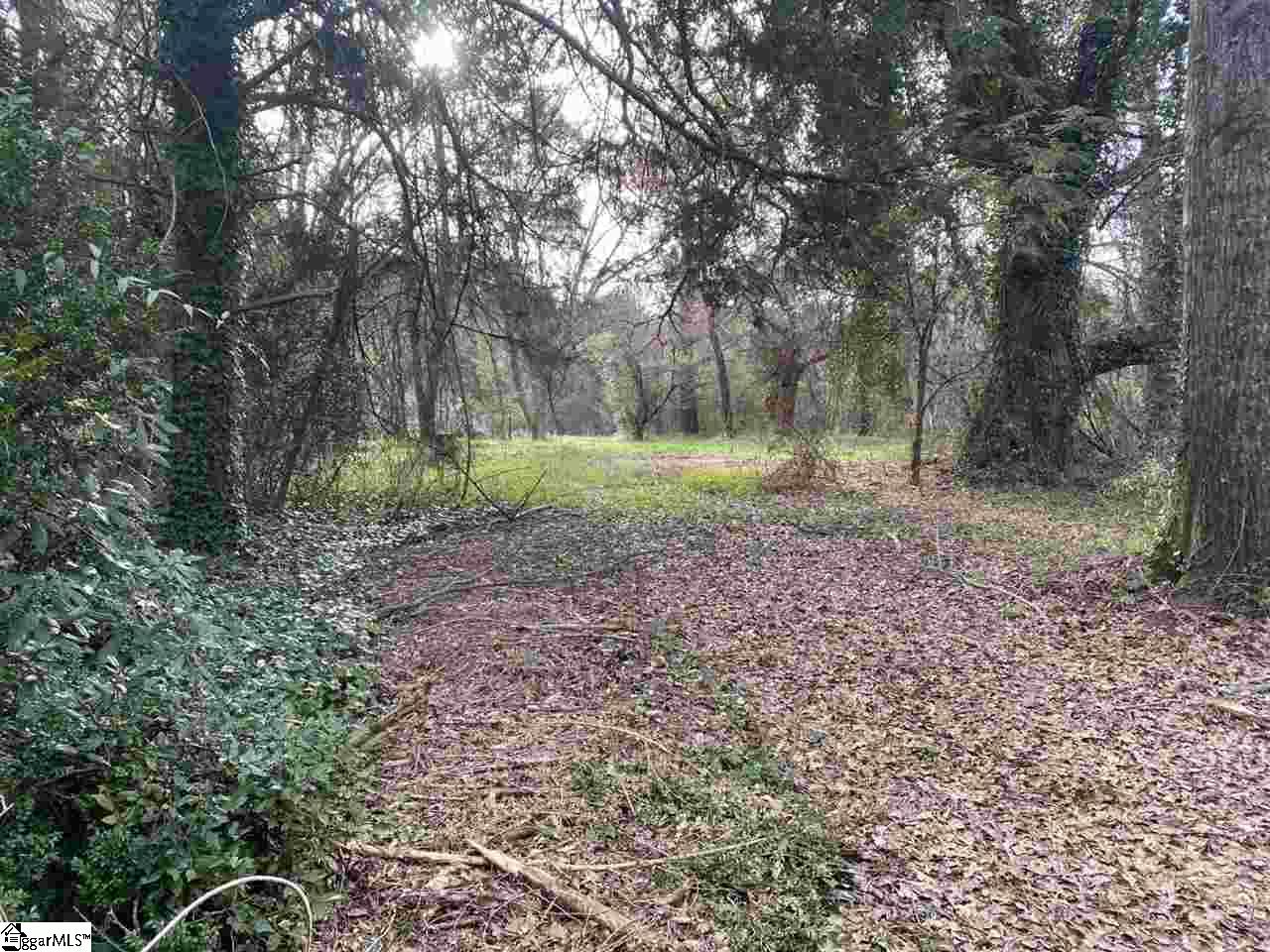 0 Loftis Road, Unit TRACT A Travelers Rest, SC 29690 - Photo 8 of 18