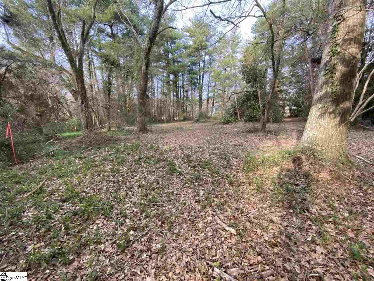 0 Loftis Road, Unit TRACT A Travelers Rest, SC 29690 - Photo 10 of 18