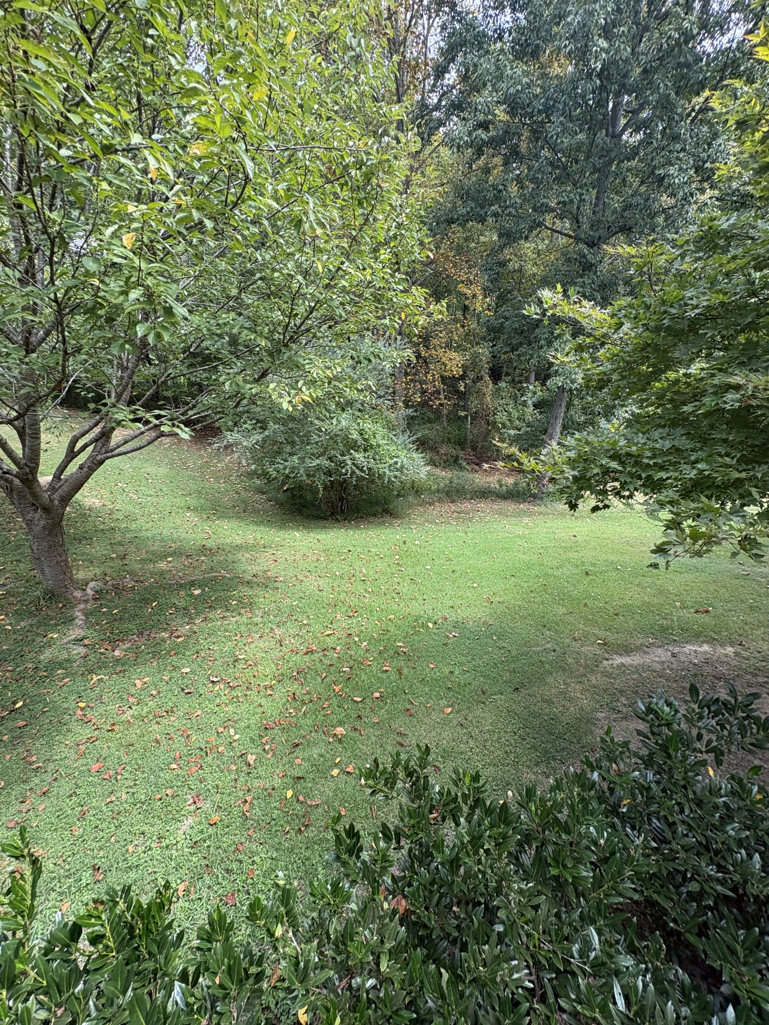 7604 Aubrey Ridge Court Fairview, TN 37062 - Photo 50 of 72 Gallery Image 50