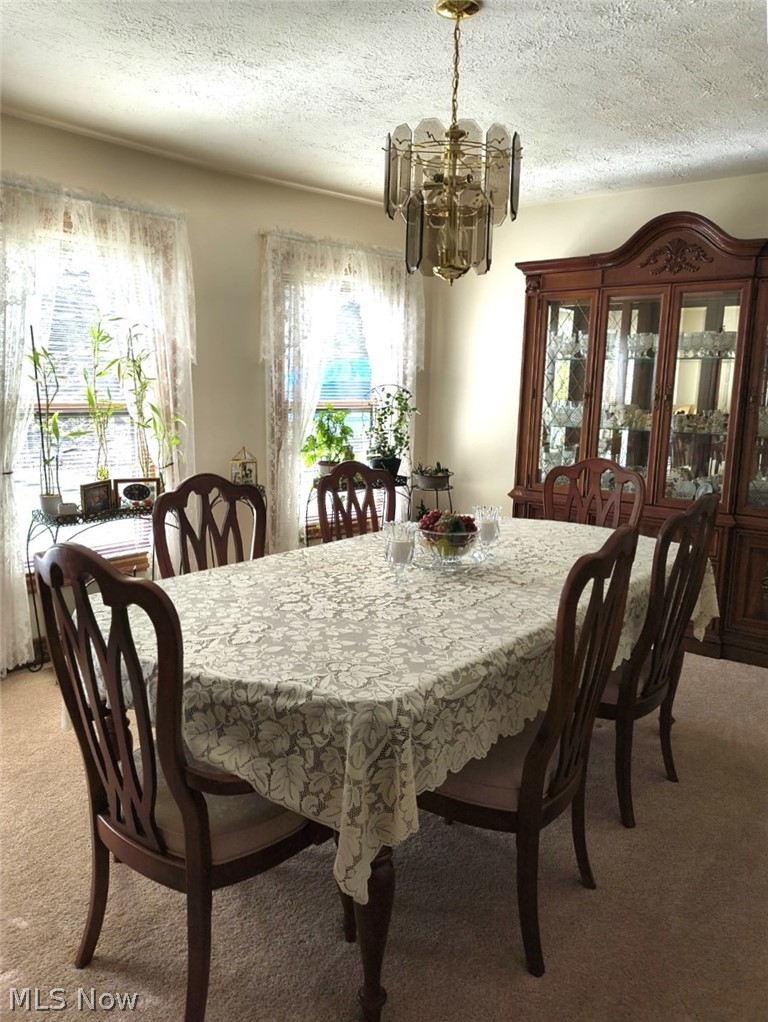 10174 Veto Road Belpre, OH 45714 - Photo 19 of 45 Dining area with abundant light.
