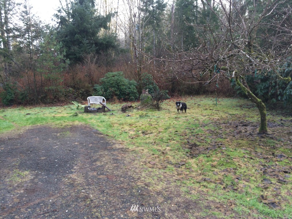 159 North River Road Cosmopolis, WA 98537 - Photo 4 of 5 Gallery Image 4