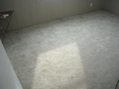 58058 Marlene Drive Three Rivers, MI 49093 - Photo 11 of 17 Additional Photo