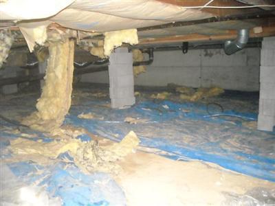 58058 Marlene Drive Three Rivers, MI 49093 - Photo 14 of 17 Additional Photo