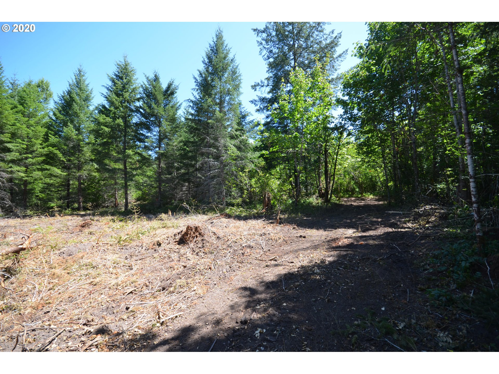 271 Leete Road Carson, WA 98610 - Photo 5 of 14 Gallery Image 5