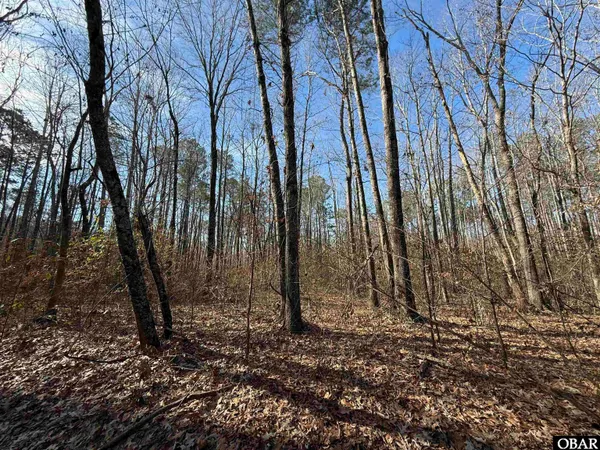 $55,000 | 0 Mallard Drive, Roper, NC 27970