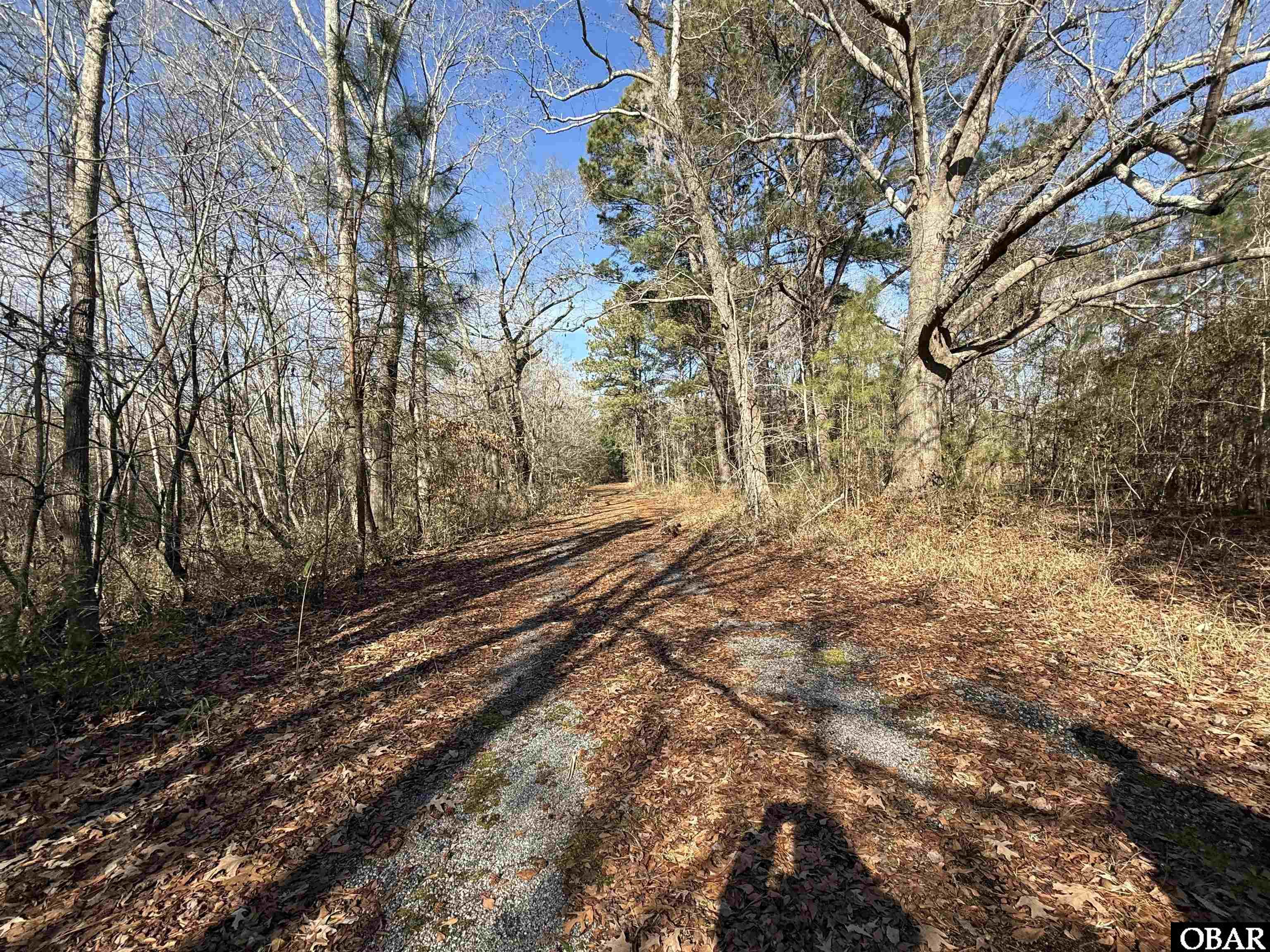 0 Mallard Drive Roper, NC 27970 - Photo 2 of 2